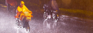 regenbrommer
